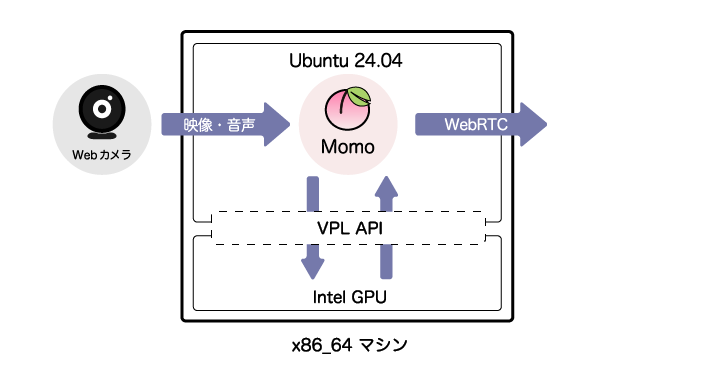 Momo と Intel N150/N100 で H.265 ハードウェアエンコーダーを使用して配信する構成図